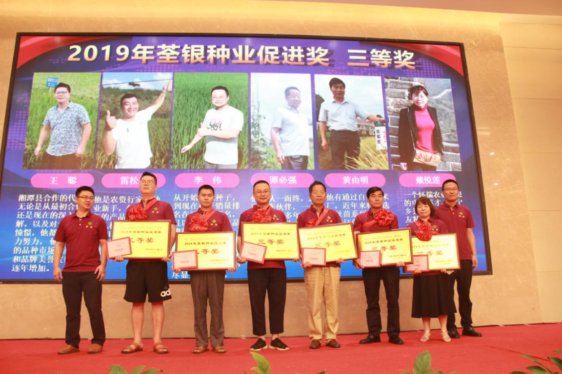 华人策略最新地址