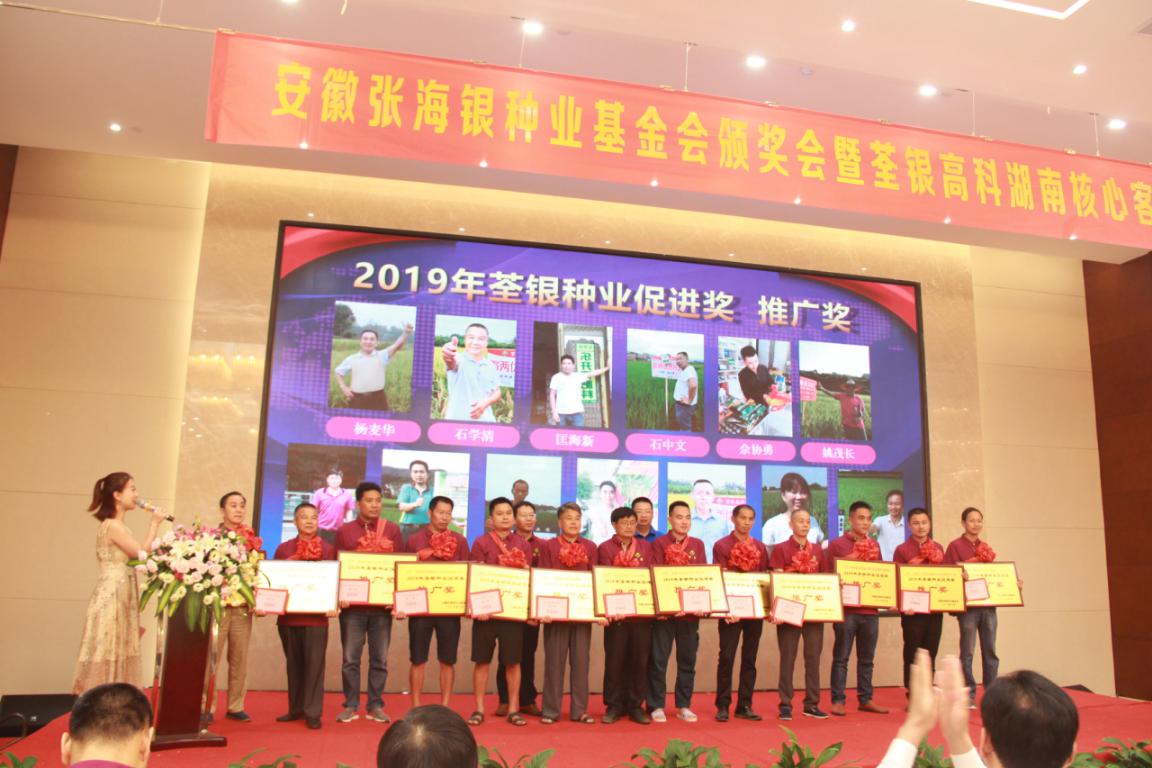 华人策略最新地址