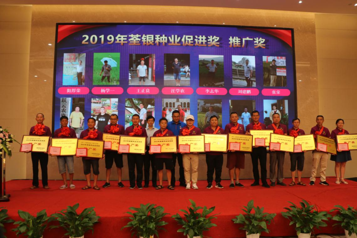 华人策略最新地址