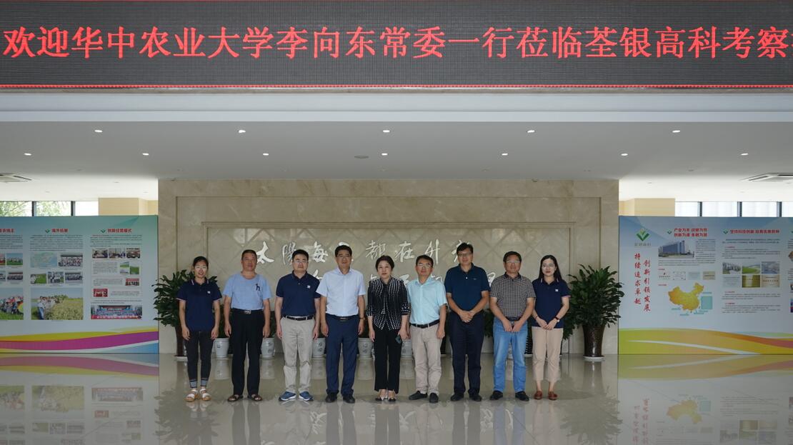 华人策略最新地址