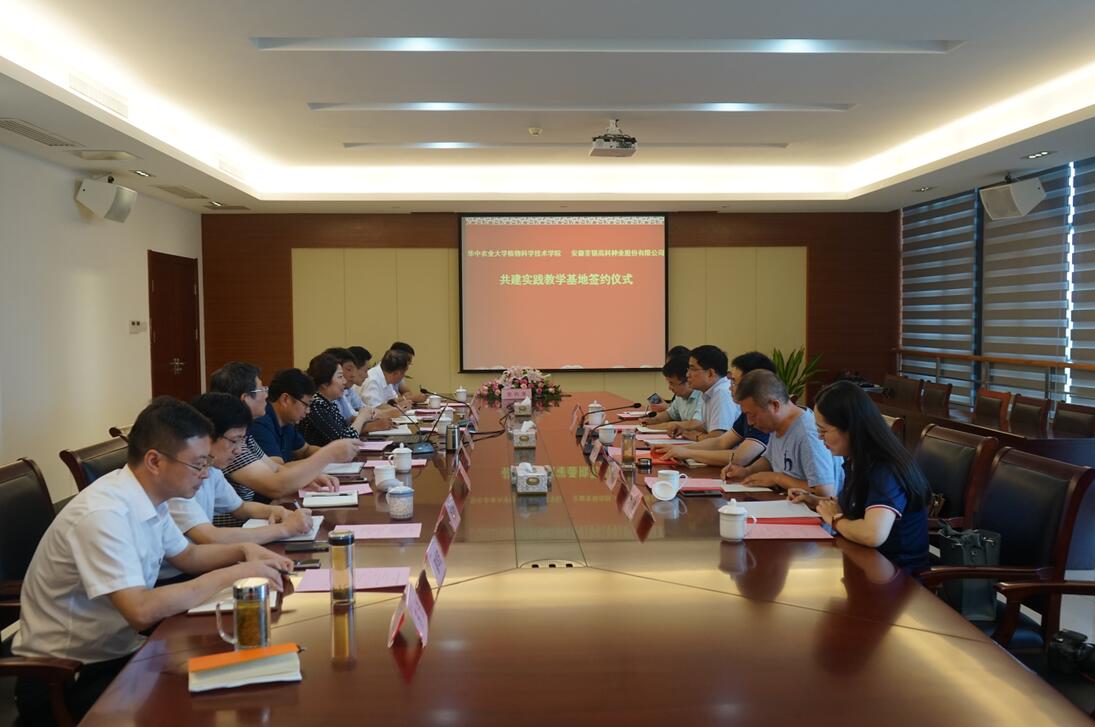 华人策略最新地址