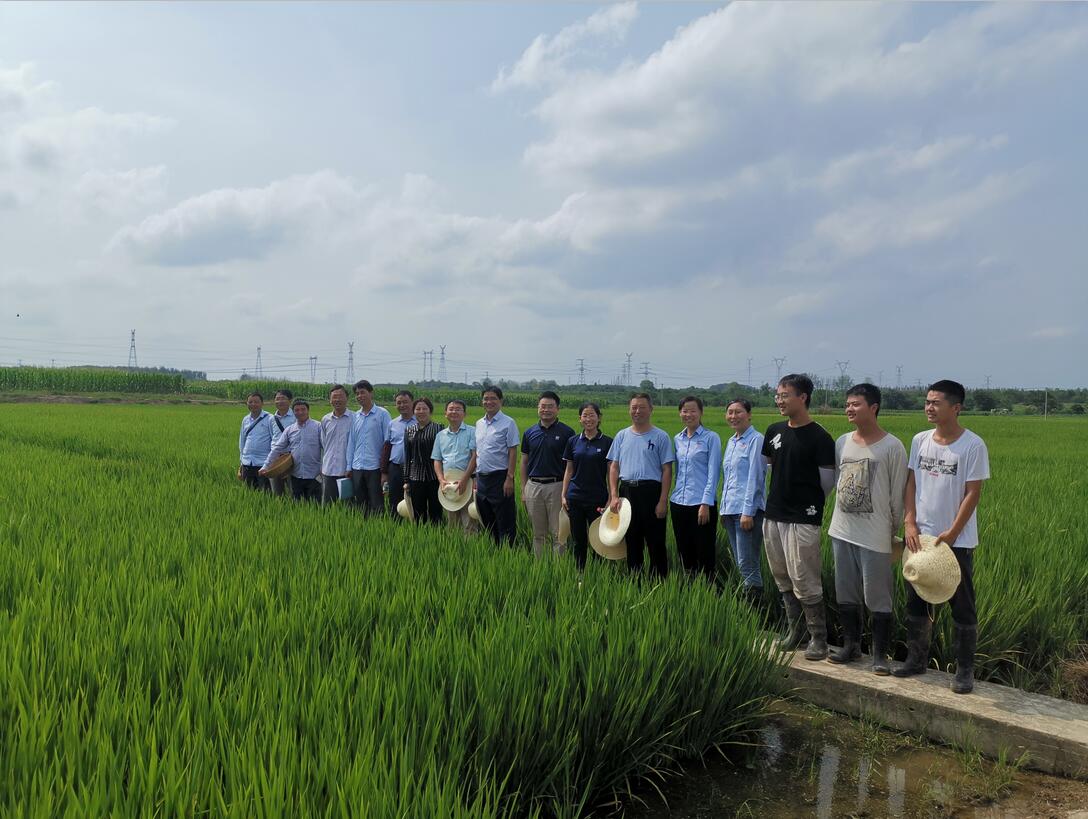 华人策略最新地址