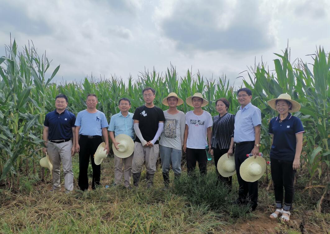 华人策略最新地址
