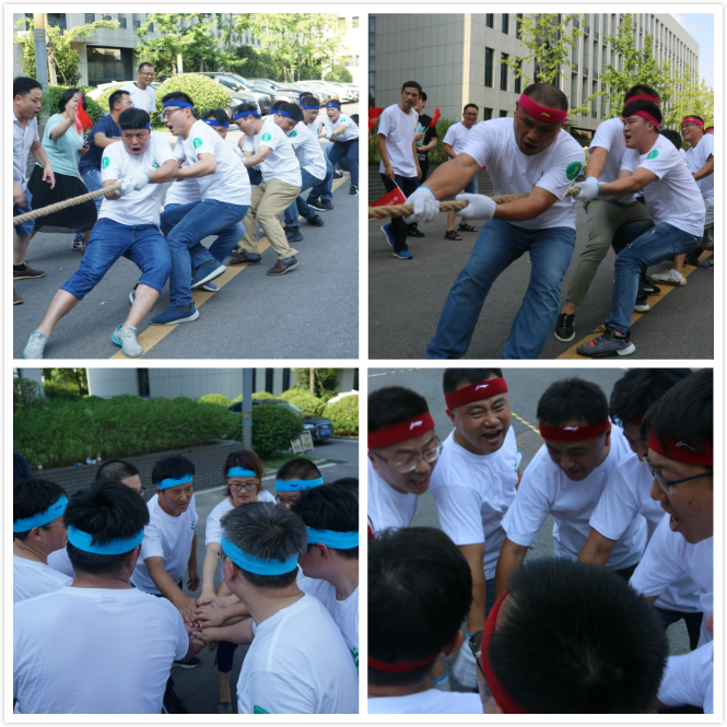 华人策略最新地址