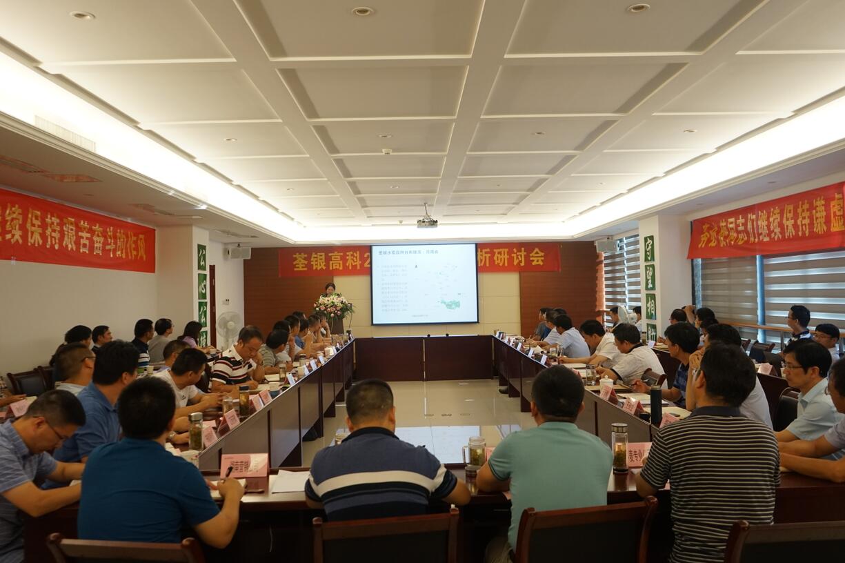 华人策略最新地址