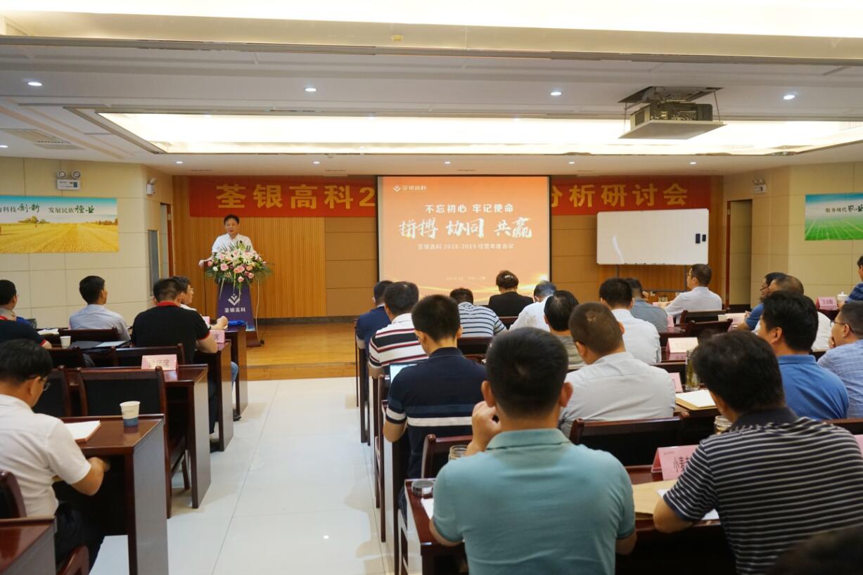 华人策略最新地址