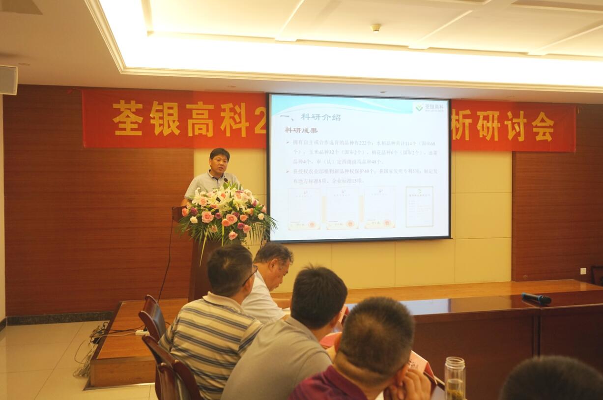 华人策略最新地址