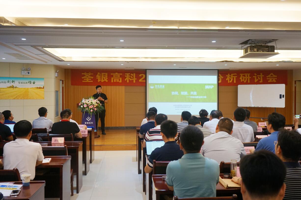 华人策略最新地址