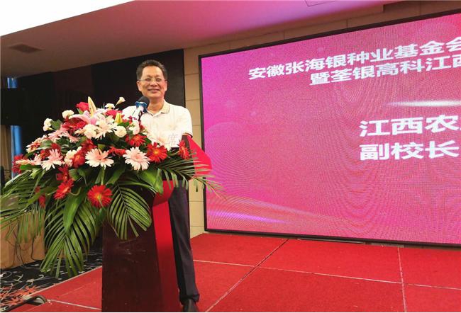 华人策略最新地址