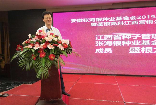 华人策略最新地址