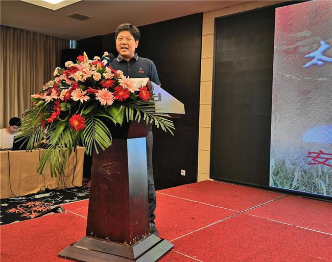 华人策略最新地址