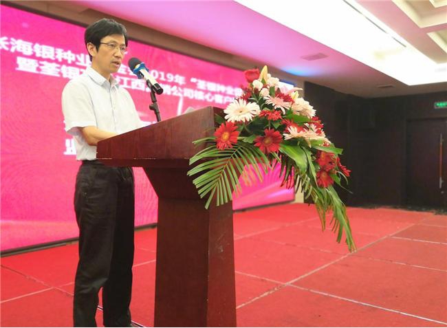 华人策略最新地址