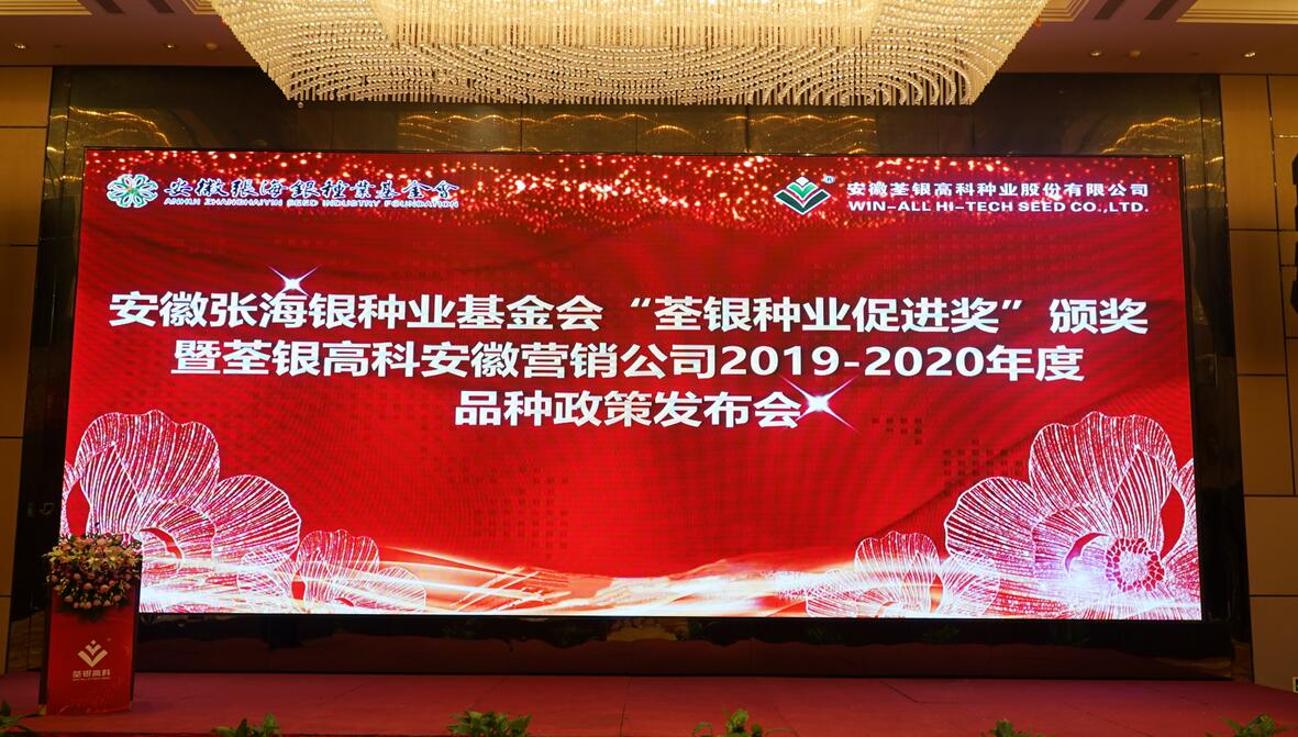 华人策略最新地址