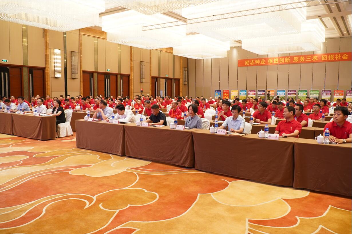 华人策略最新地址