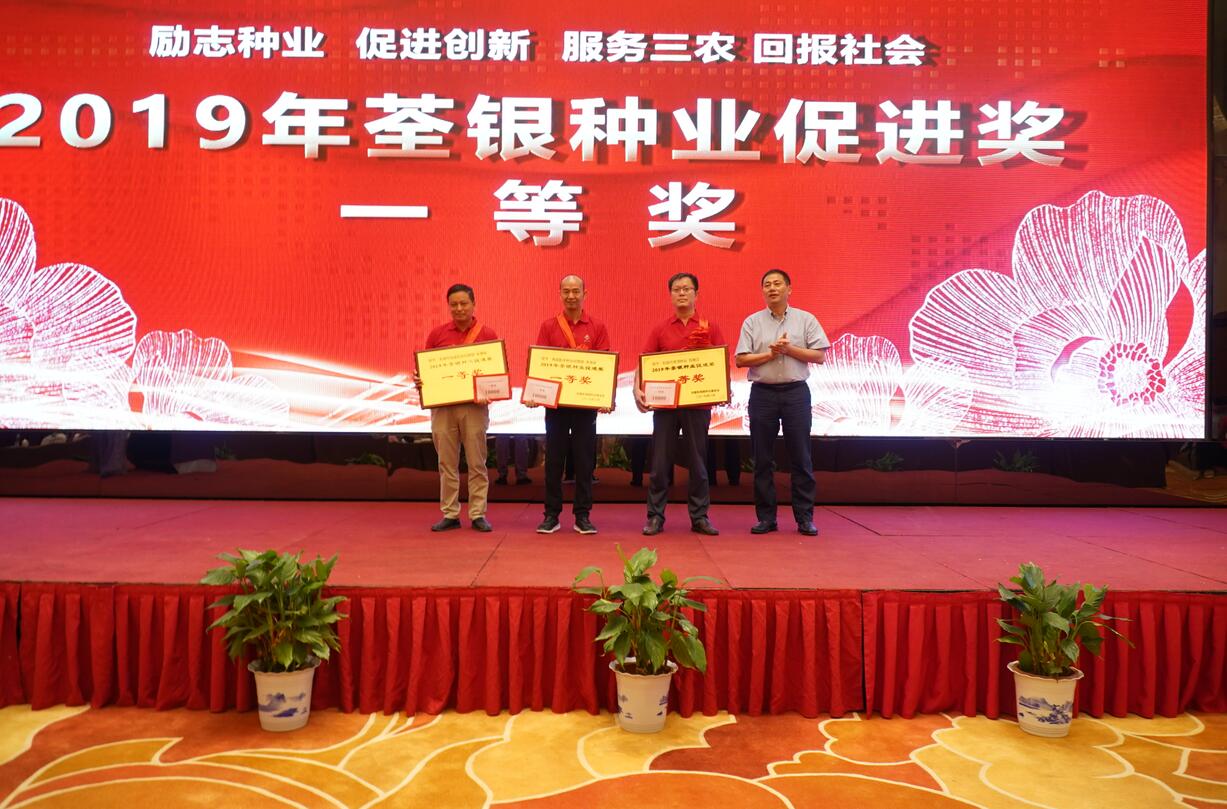 华人策略最新地址