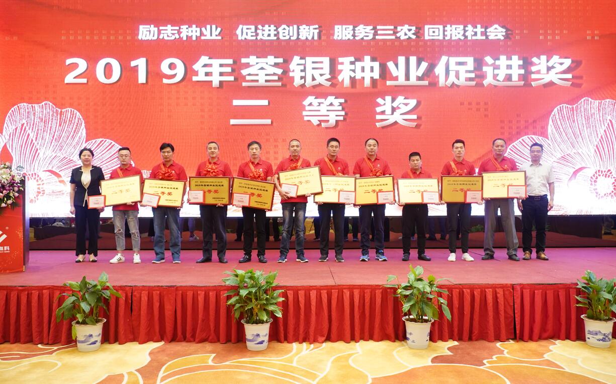 华人策略最新地址