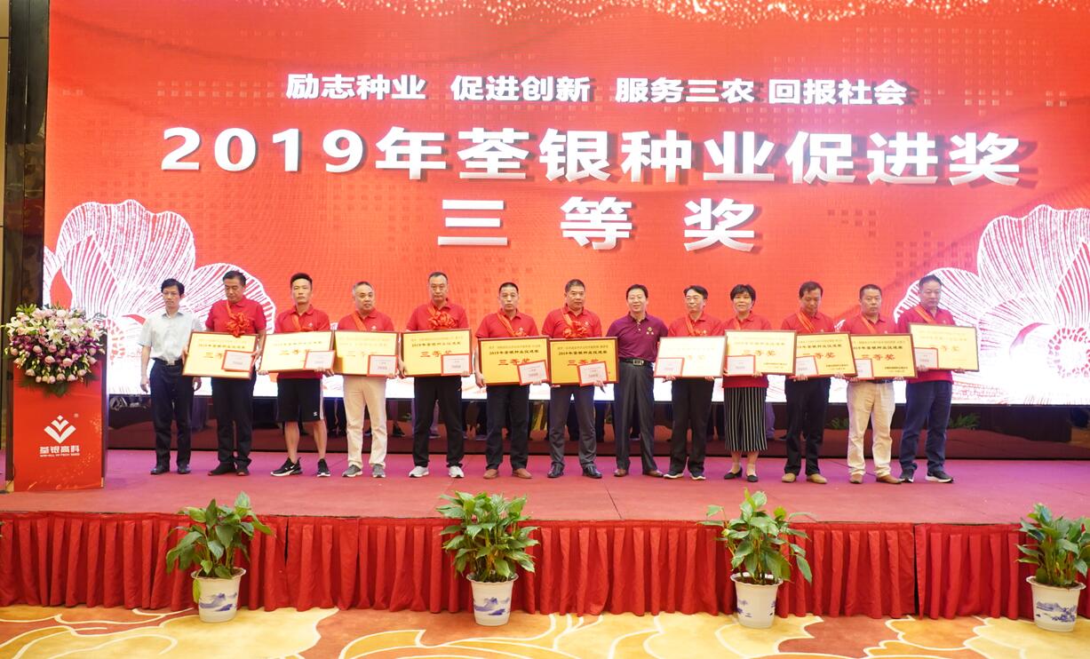 华人策略最新地址