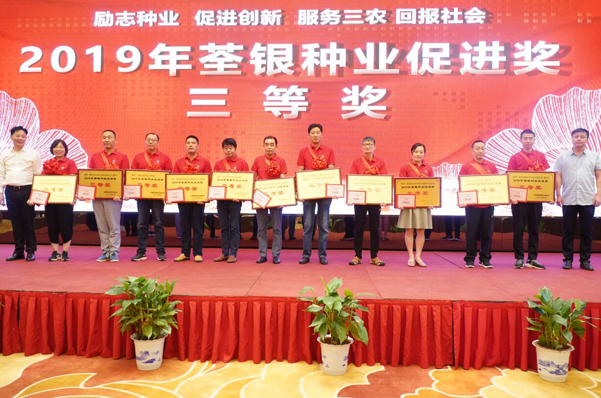 华人策略最新地址