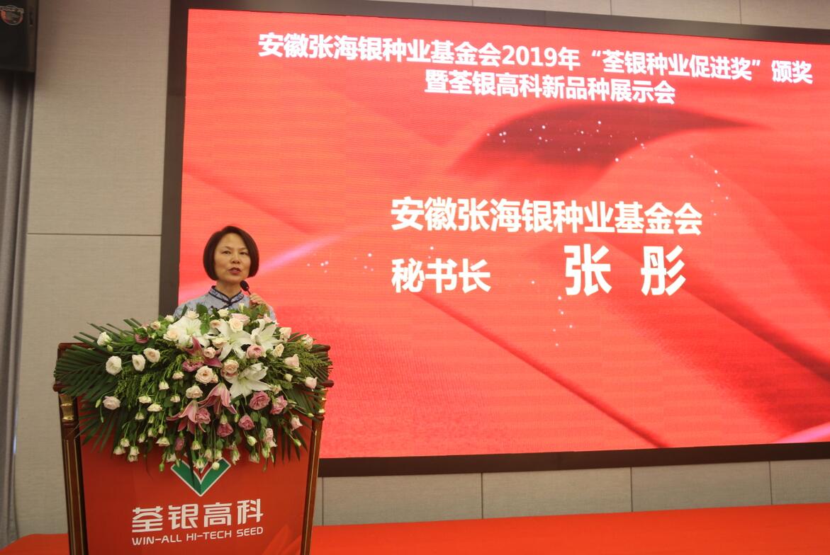 华人策略最新地址