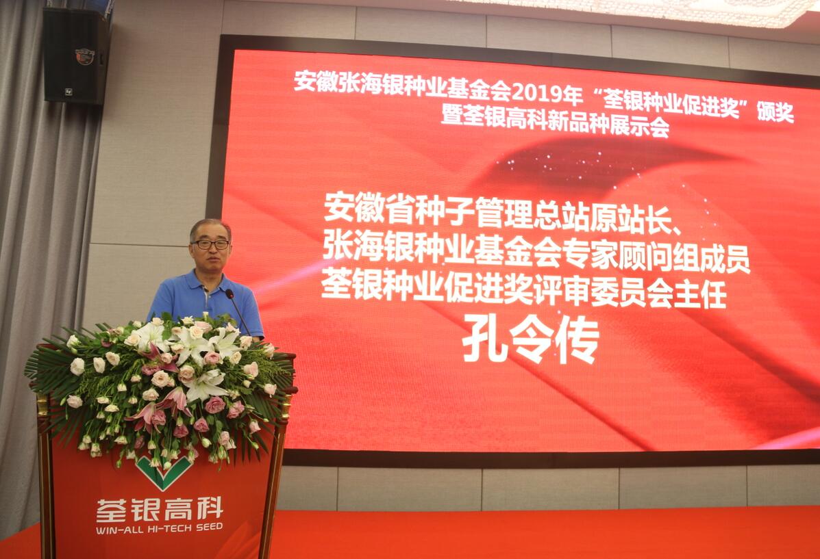 华人策略最新地址