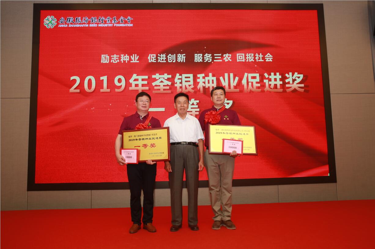 华人策略最新地址