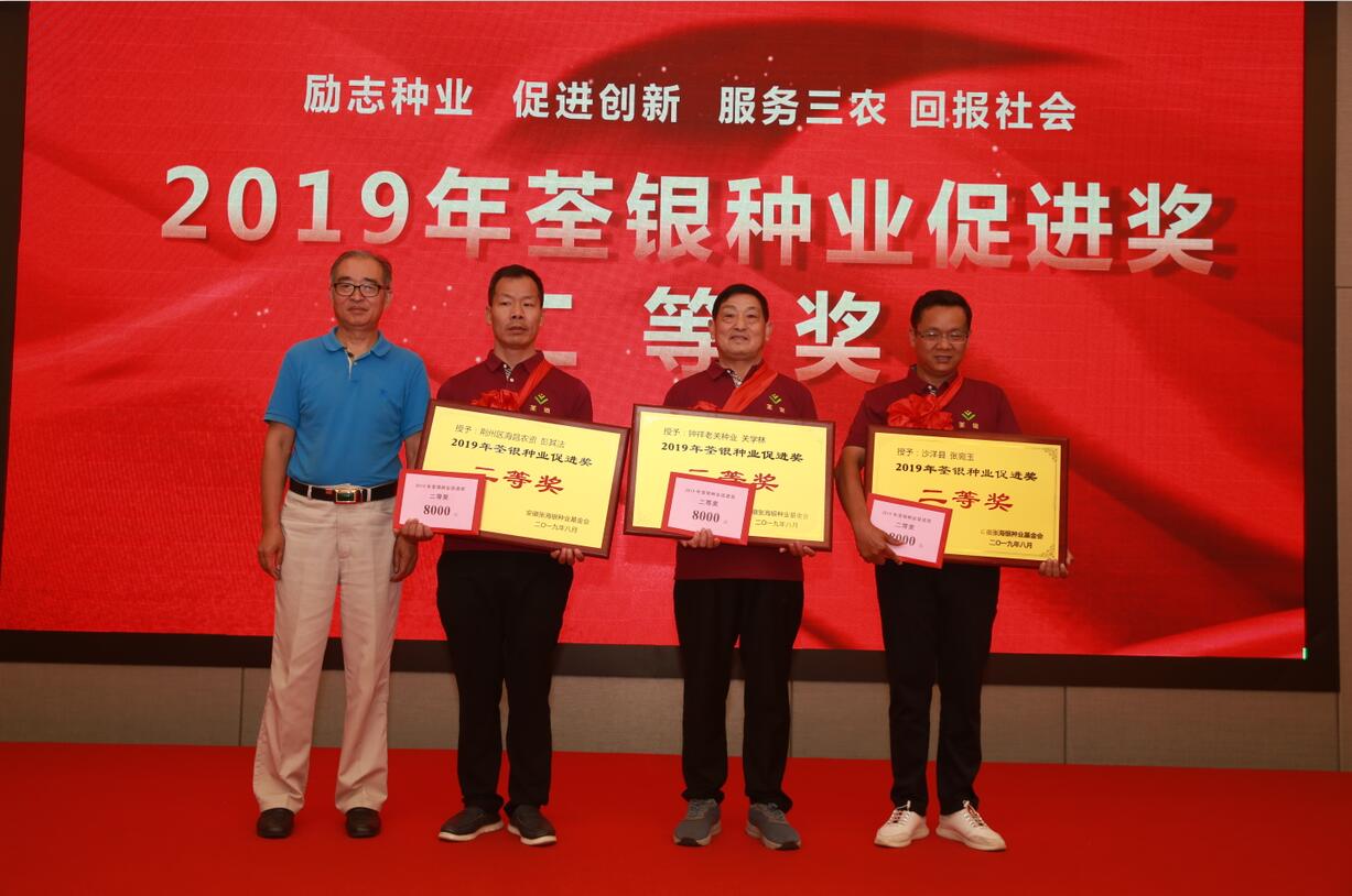 华人策略最新地址