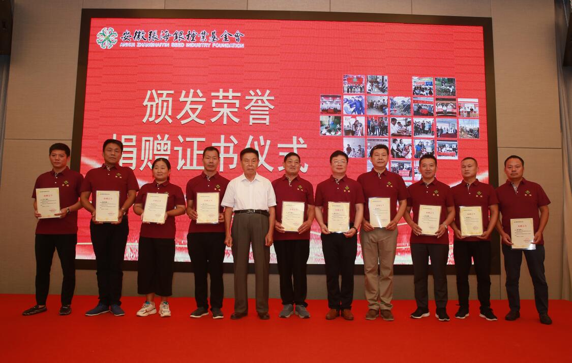 华人策略最新地址