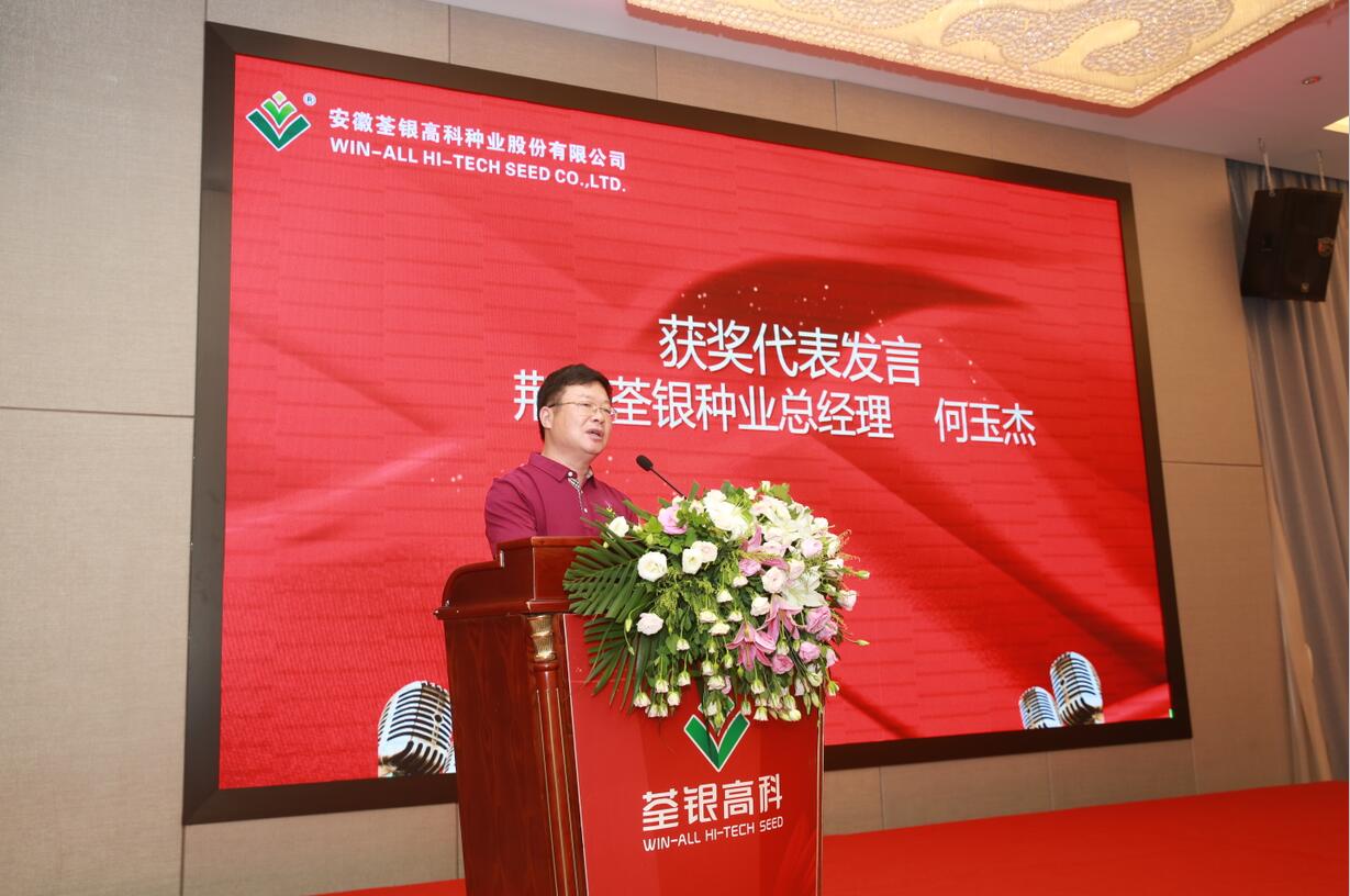 华人策略最新地址