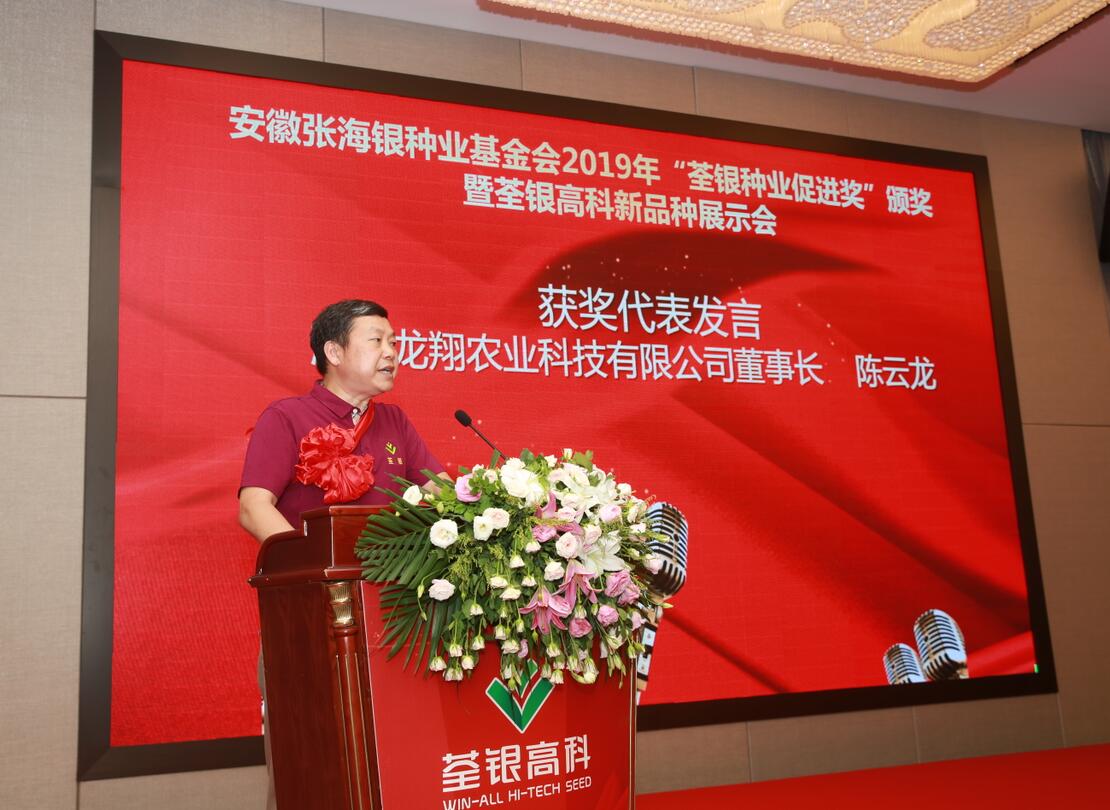 华人策略最新地址