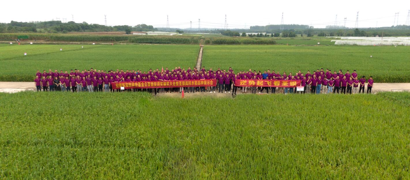 华人策略最新地址