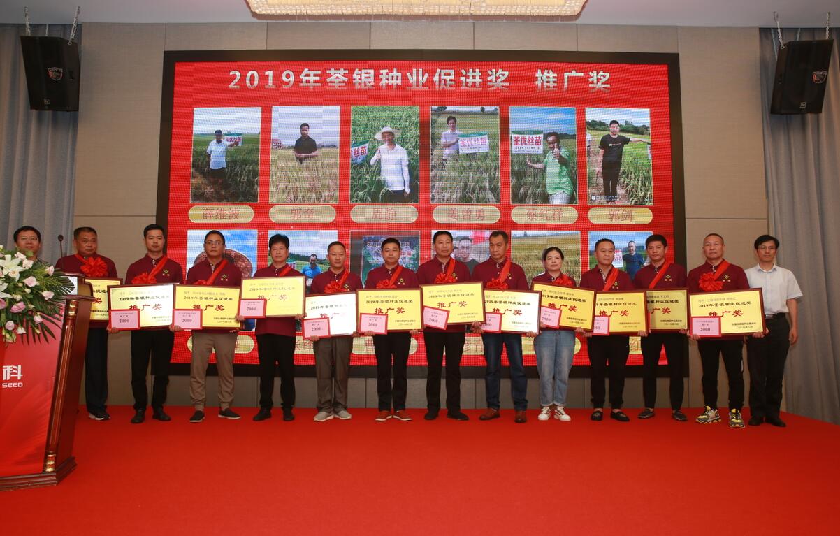 华人策略最新地址