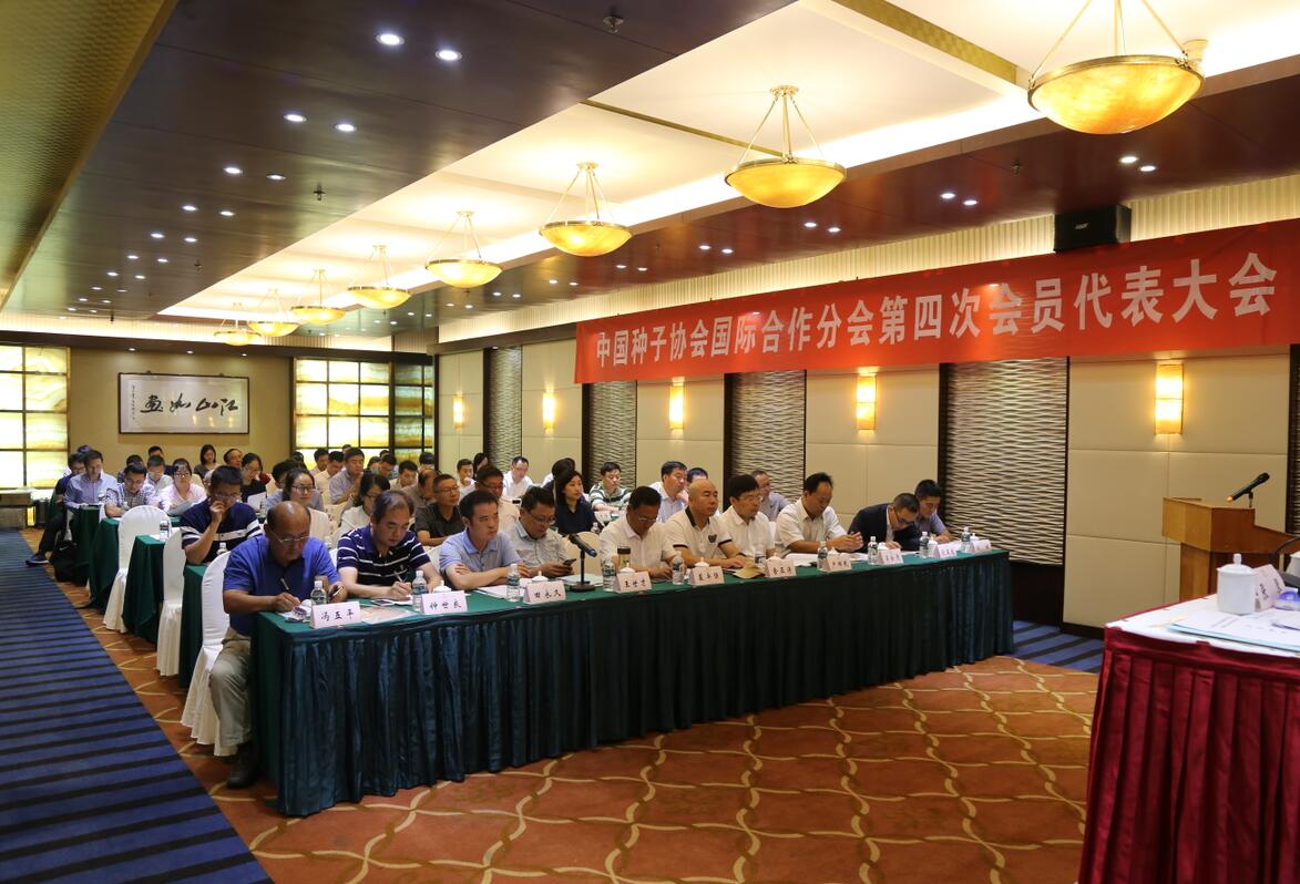 华人策略最新地址