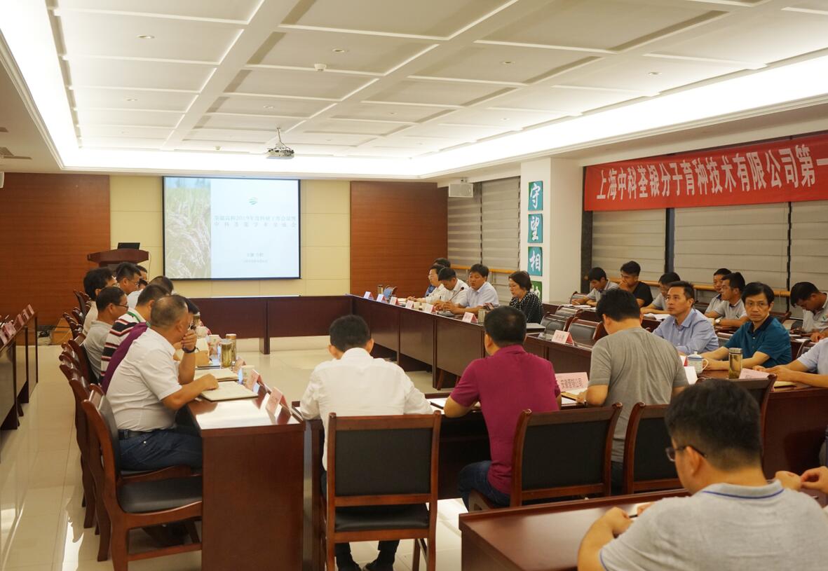 华人策略最新地址