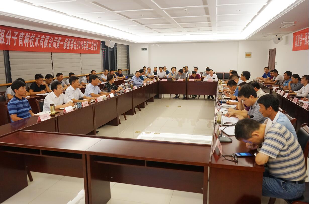 华人策略最新地址