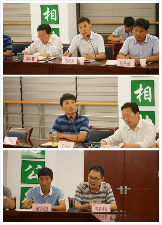 华人策略最新地址