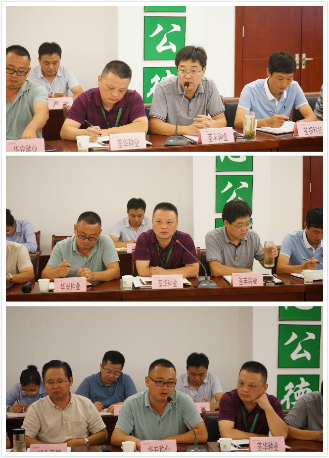 华人策略最新地址