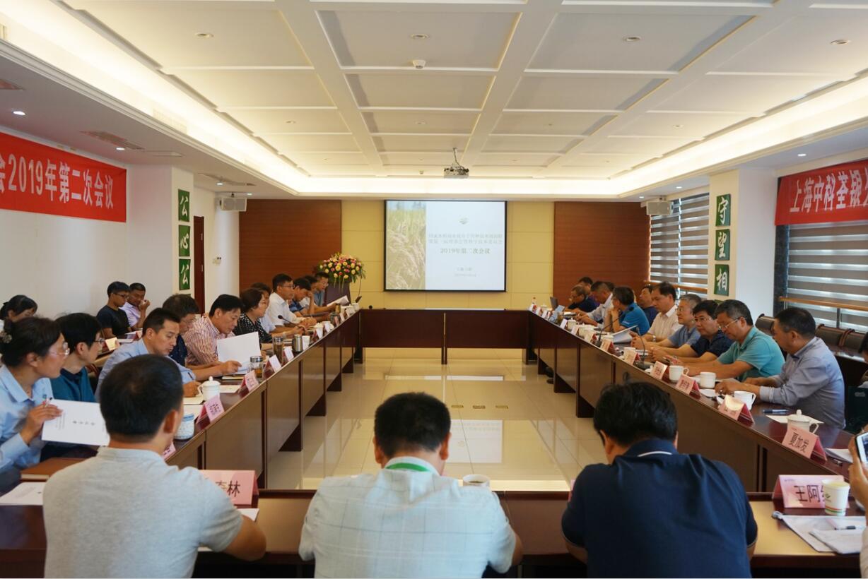 华人策略最新地址