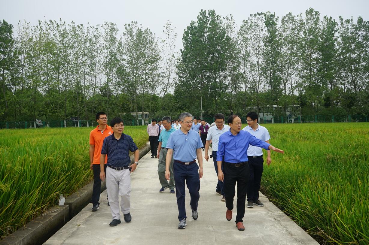 华人策略最新地址