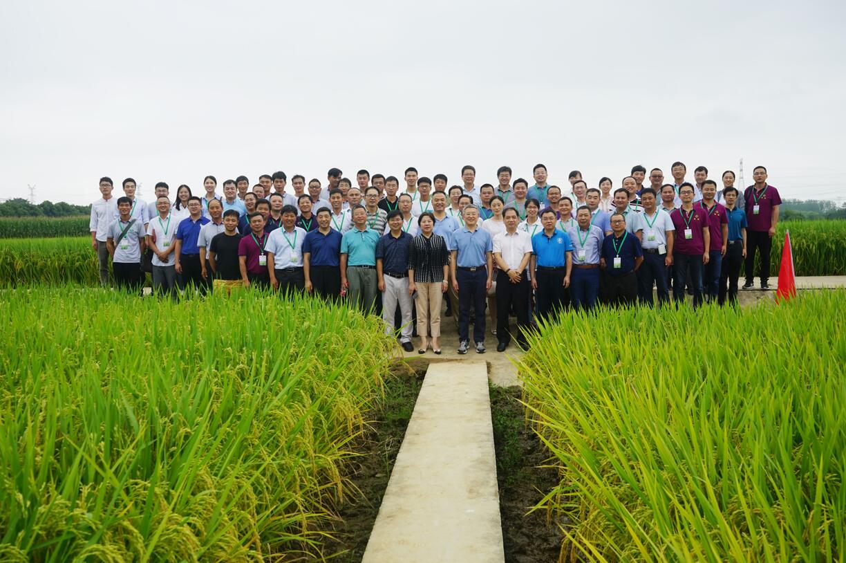 华人策略最新地址