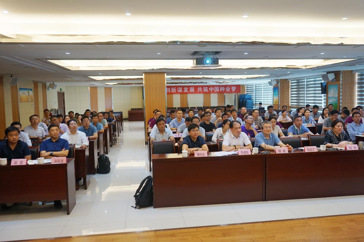 华人策略最新地址