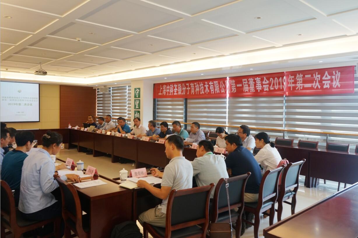 华人策略最新地址