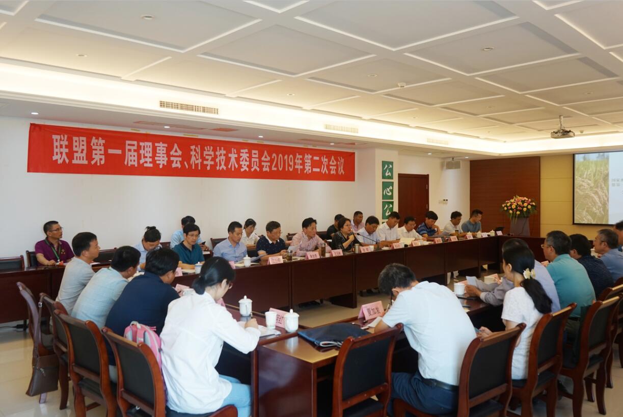 华人策略最新地址