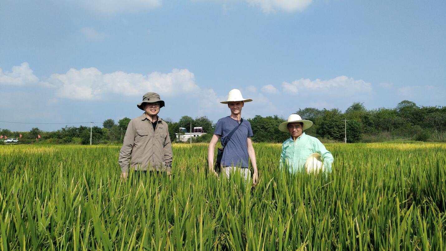 华人策略最新地址