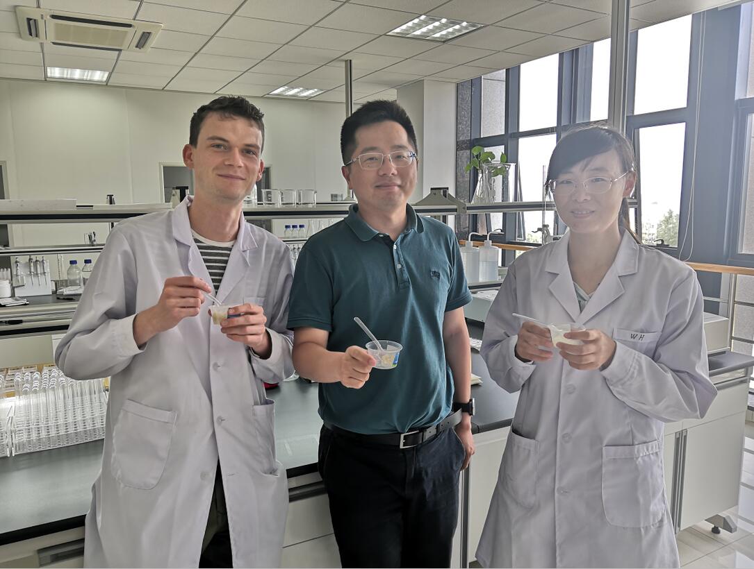 华人策略最新地址