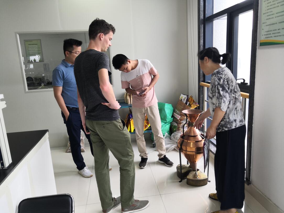 华人策略最新地址