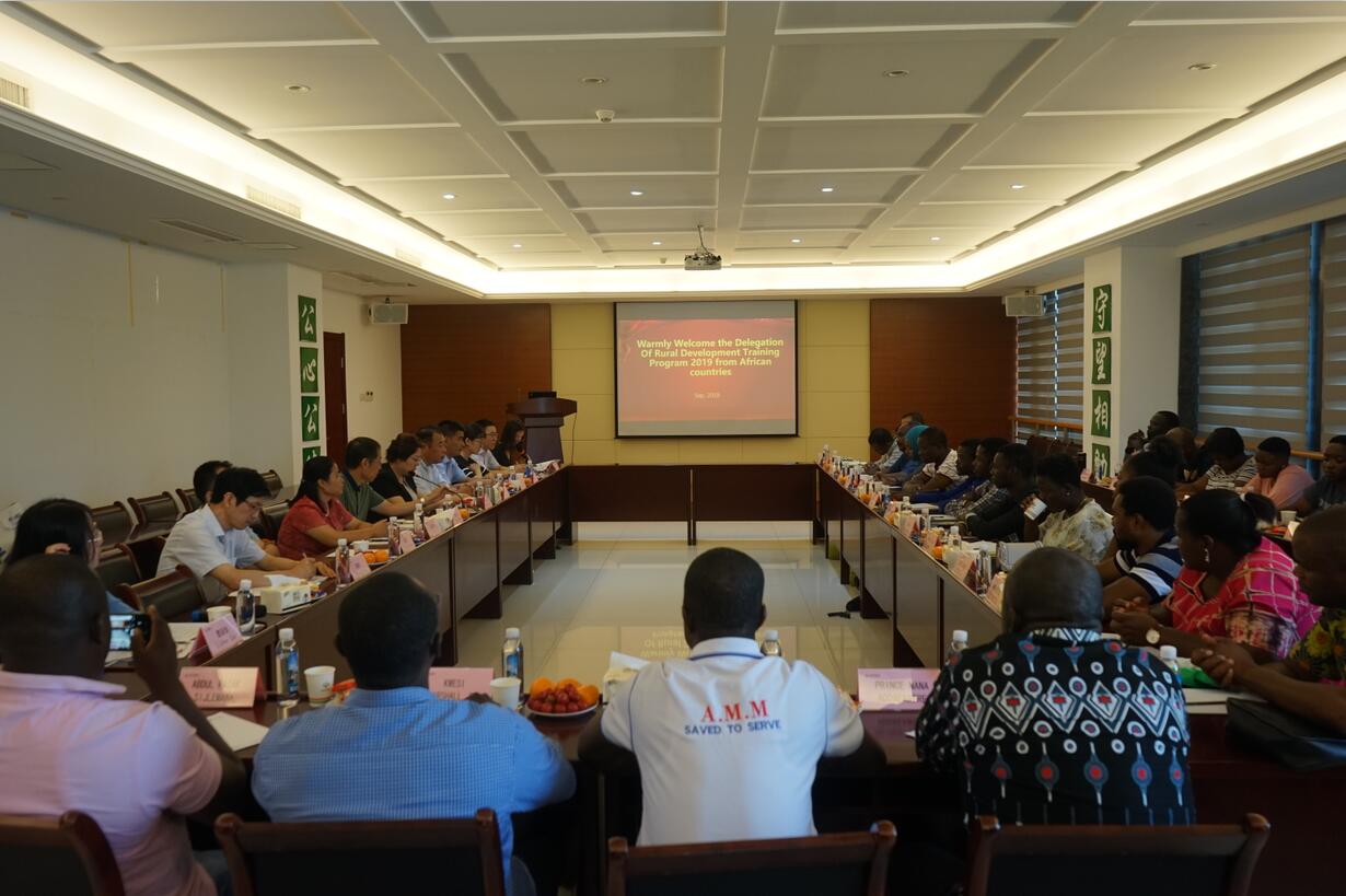 华人策略最新地址