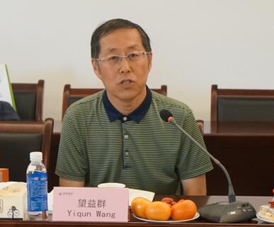 华人策略最新地址