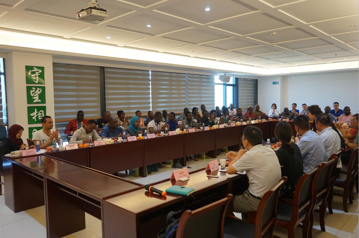 华人策略最新地址