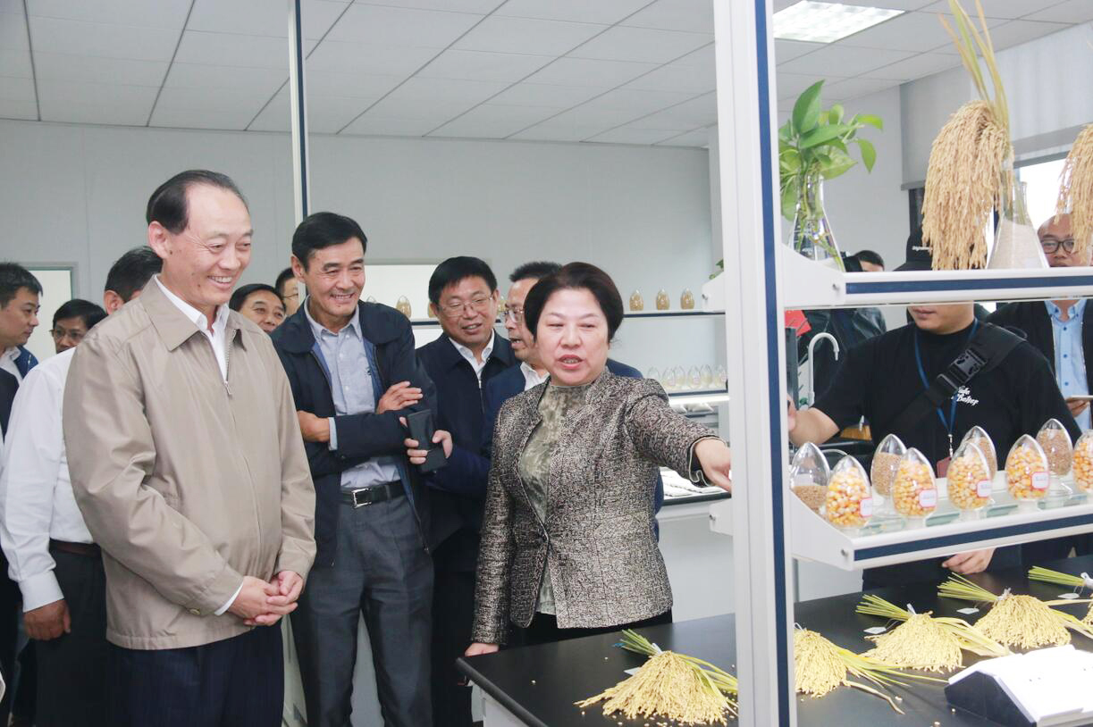 华人策略最新地址