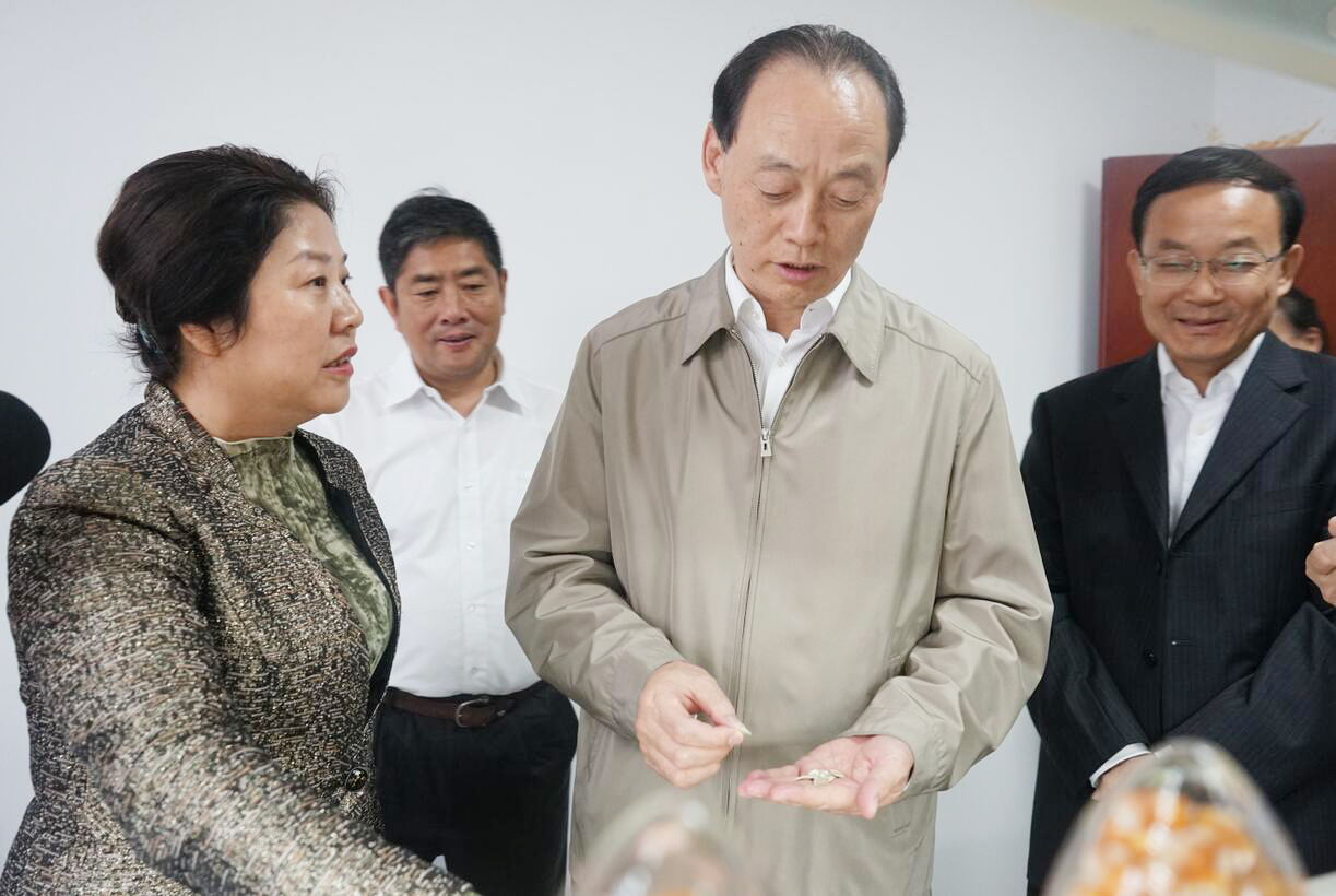 华人策略最新地址